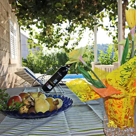 Hébergement de vacances Garden House - Four Bedroom House With Private Pool Zrnovo