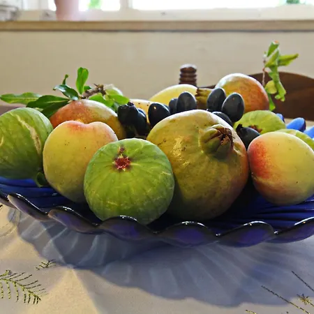 Hébergement de vacances Garden House - Four Bedroom House With Private Pool