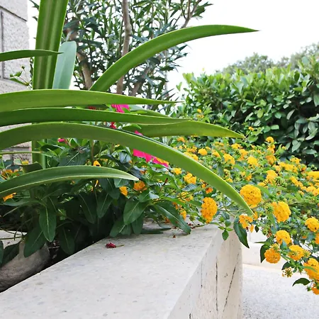 Hébergement de vacances Garden House - Four Bedroom House With Private Pool Zrnovo