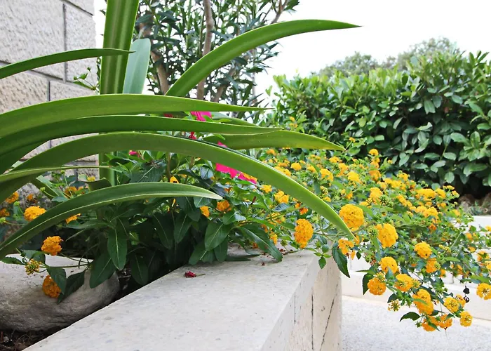 Ferienhaus Garden House - Four Bedroom House With Private Pool Zrnovo
