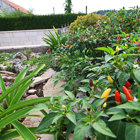 Garden House - Four Bedroom House With Private Pool