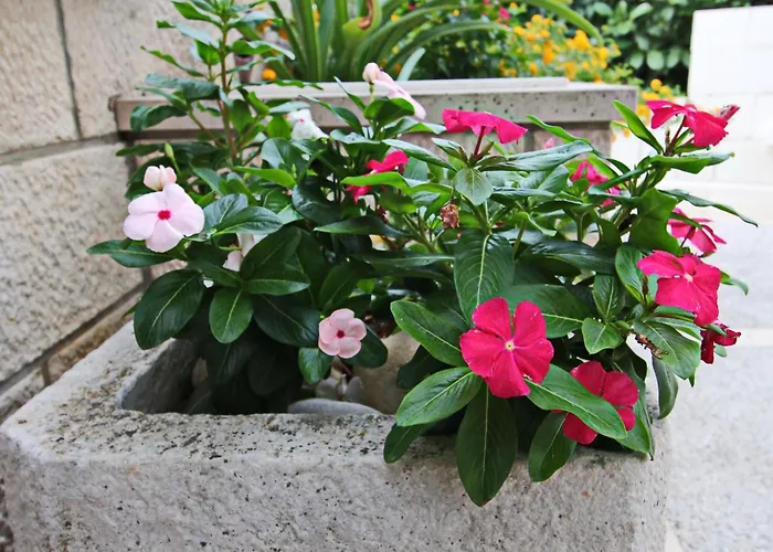 Garden House - Four Bedroom House With Private Pool Nyaraló Žrnovo