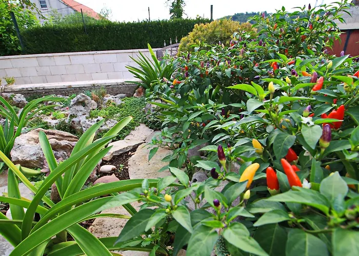 Garden House - Four Bedroom House With Private Pool